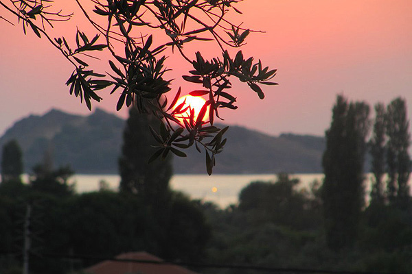 ΞΕΝΟΔΟΧΕΙΟ ΛΕΣΒΟΣ ΤΟΠΟΘΕΣΙΑ 004