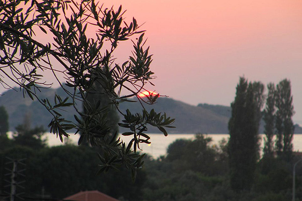 LESVOS HOTELS APARTMENTS FAMILY ROOM 012