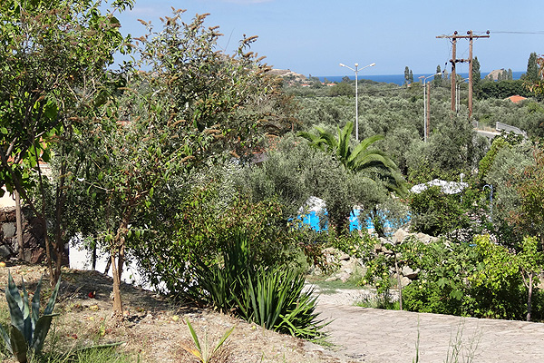 LESVOS HOTELS APARTMENTS FAMILY ROOM 013